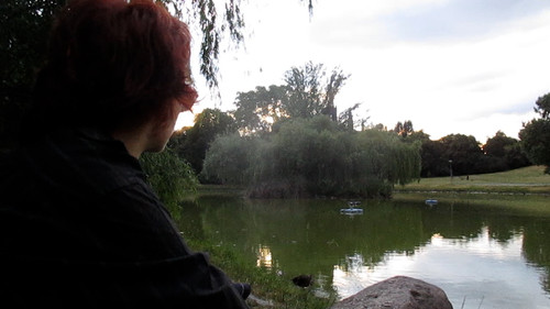 Les oiseaux de l'Est Bild 5