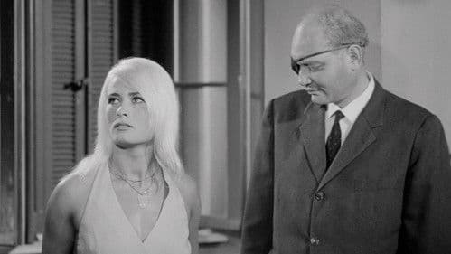 Les chiens dans la nuit Bild 1