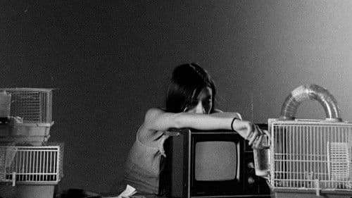 Letters to Paul Morrissey Bild 1