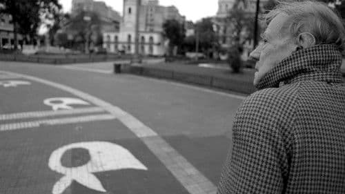 Messenger on a White Horse Bild 5