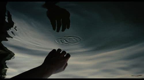 ใต้ฝุ่น Bild 5