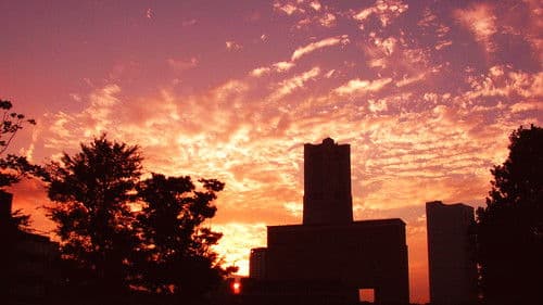 たったひとつの恋 Bild 3