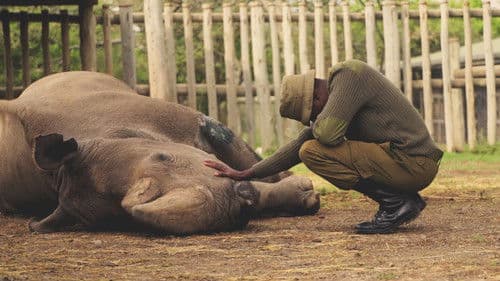 Das letzte Weiße Nashorn Bild 1