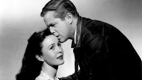 Fernruf aus Chicago Bild 3