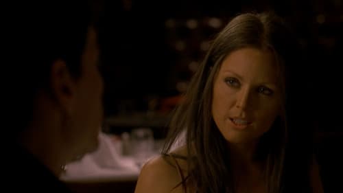 World Traveler Bild 1