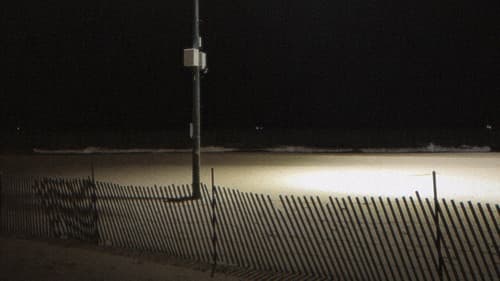 Despite Everything Bild 1