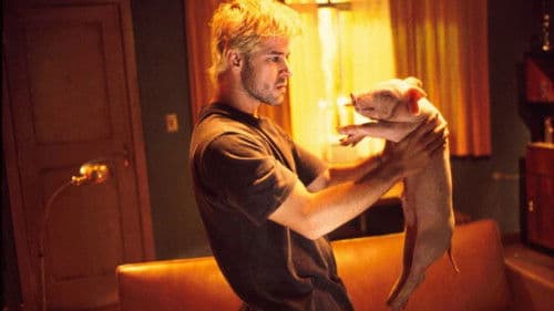 The man of the year Bild 4