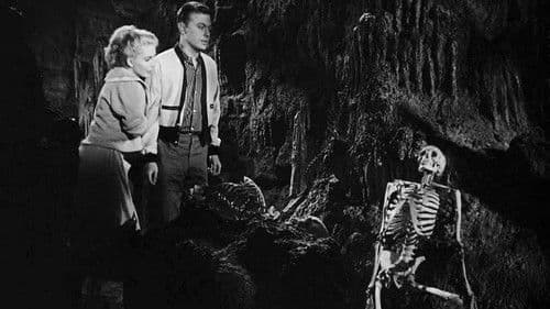 Die Rache der schwarzen Spinne Bild 6