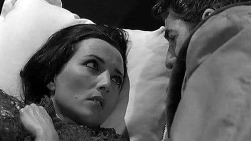 Die Demarkationslinie Bild 2