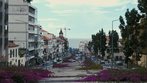 Olhos de Quem Vê Bild 5