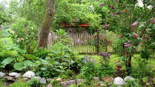 Geheimnisvoller Garten Bild 1