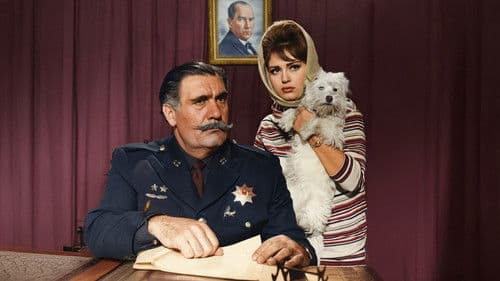 Çapkın Kız Bild 1