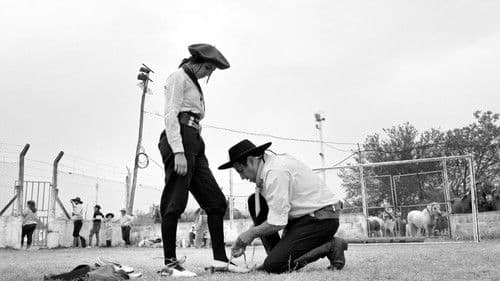 Gaucho Gaucho Bild 2