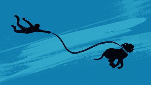 Scott & Huutsch Bild 6