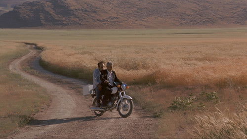 Der Wind wird uns tragen Bild 3