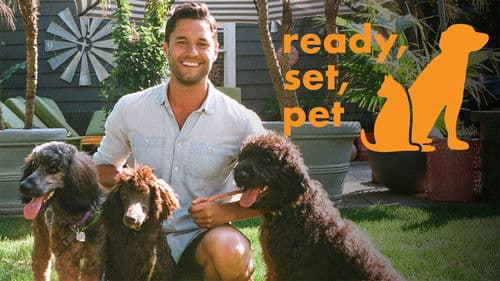 Ready, Set, Pet Bild 2