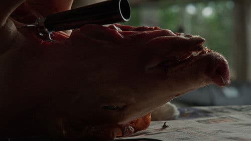 Le chant du coq Bild 3