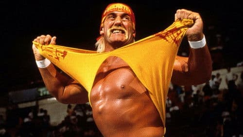 WWE: Hulk Hogan: The Ultimate Anthology Bild 2