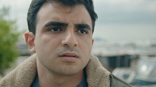 The Supplement Bild 1