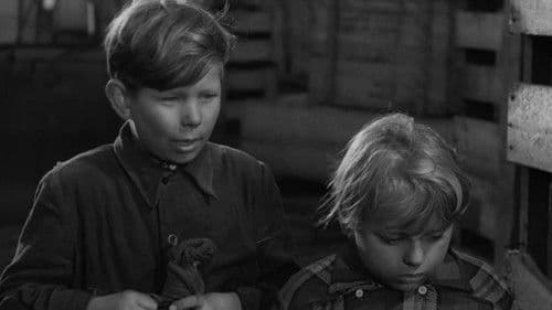 Žydrasis horizontas Bild 4