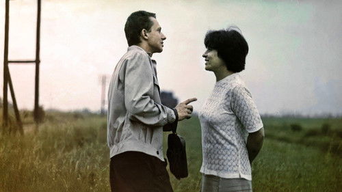 Kobieta samotna Bild 8