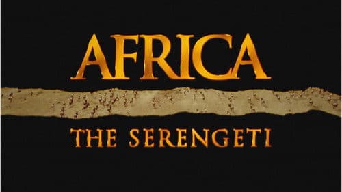 Afrika - Die Serengeti Bild 1