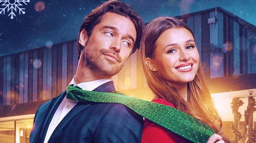 Ein Bachelor zu Weihnachten Bild 1