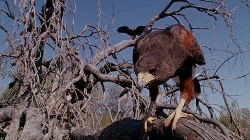 Tiny Giants 3D Bild 3