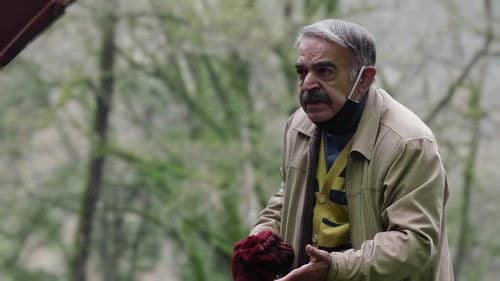 بوتیمار Bild 1