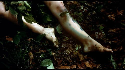 Recommendation for Mercy Bild 1