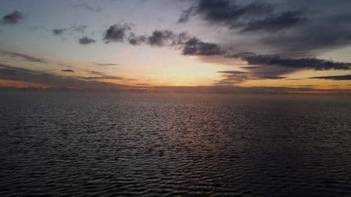 Ocean's Arrival Bild 7