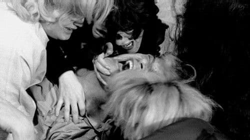 Schock-Korridor Bild 2