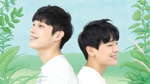 기울어진 여름 Bild 1