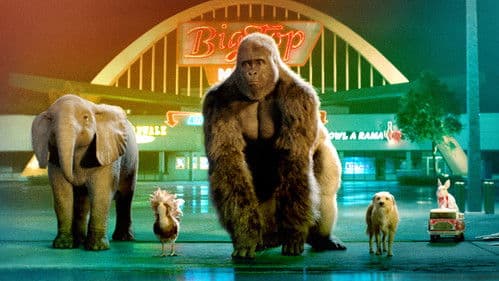 Der einzig wahre Ivan Bild 4