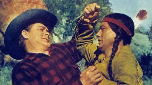 Wild Stallion Bild 1