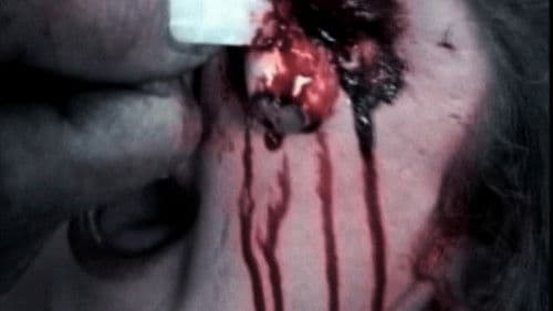 The Bride Of Frank Bild 2