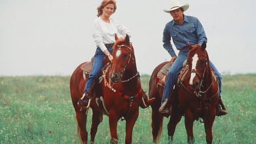 Pure Country Bild 5