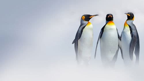 Destination World Bild 2