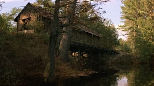 Werwolf von Tarker Mills Bild 5