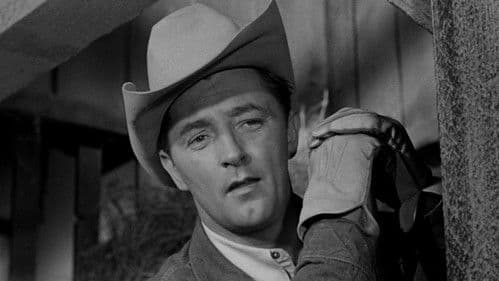 Arena der Cowboys Bild 4