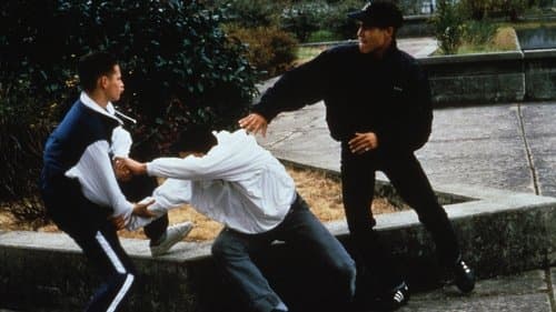 Ma 6-T va crack-er Bild 1