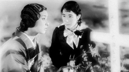 乙女シリーズその一　福寿草 Bild 1