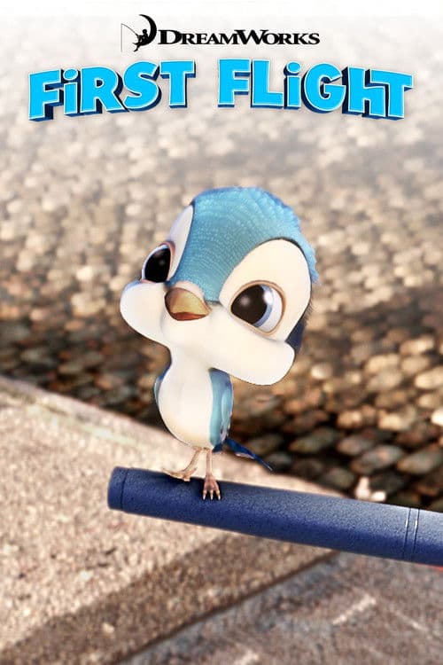 Der erste Flug