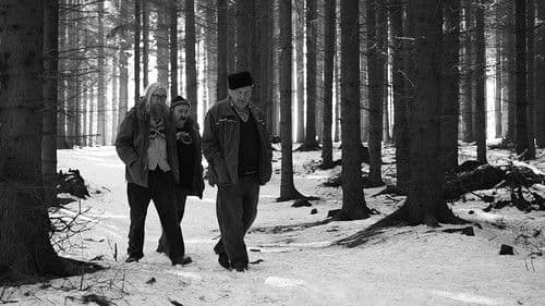 Odborný dohled nad výkladem snu Bild 1