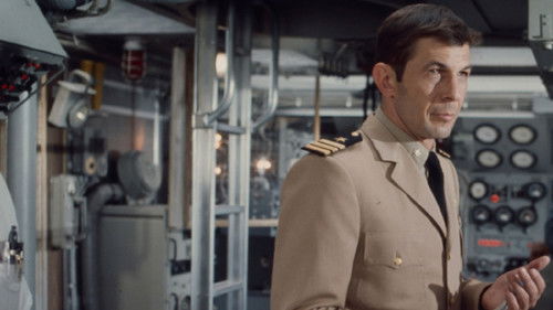 Einsatz im Pazifik Bild 2