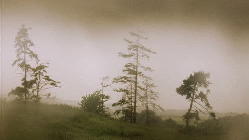 Mutter und Sohn Bild 5