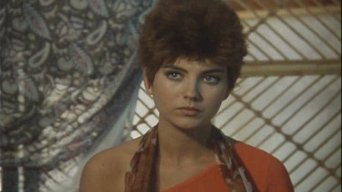 La ragazza di Cortina Bild 1