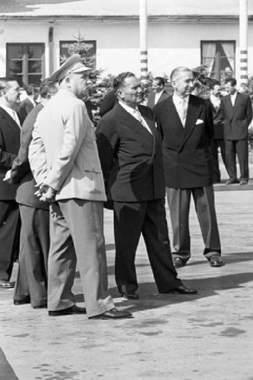 Темели на солидарноста