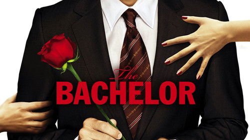 The Bachelor Bild 2