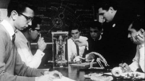 Comprehensive School Bild 1